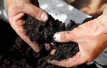 Soil Remediation Soil Remediation